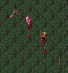 Cabezas de Gangul, Janrod, Misuricay y Larva de Areak.