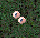 Img1656995891096.png