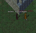 Thumbnail for version as of 17:14, 13 July 2022